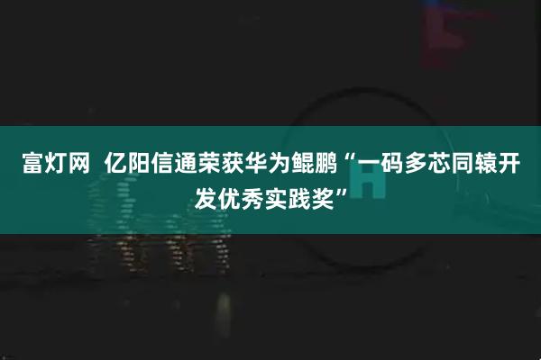 富灯网  亿阳信通荣获华为鲲鹏“一码多芯同辕开发优秀实践奖”